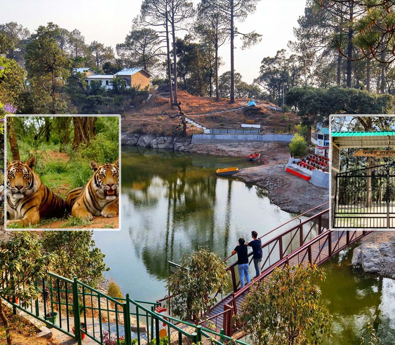 Shimla Kullu Manali Chandigarh by Car